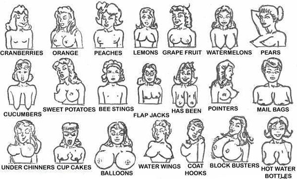 TOMT] [Image] Chart of breast shapes with corresponding fruit names :  r/tipofmytongue