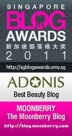 singapore blog awards 2011