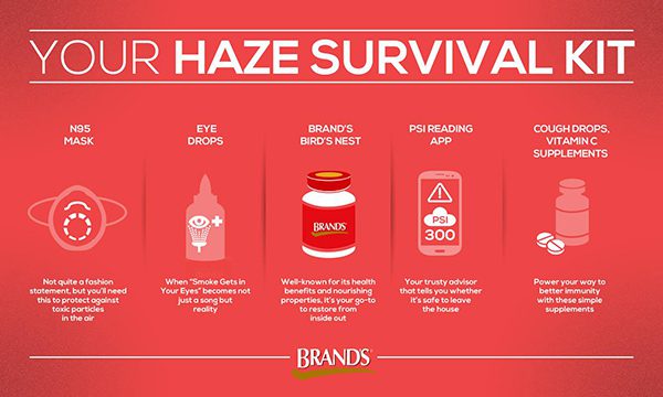 Brand's Haze Survival Kit
