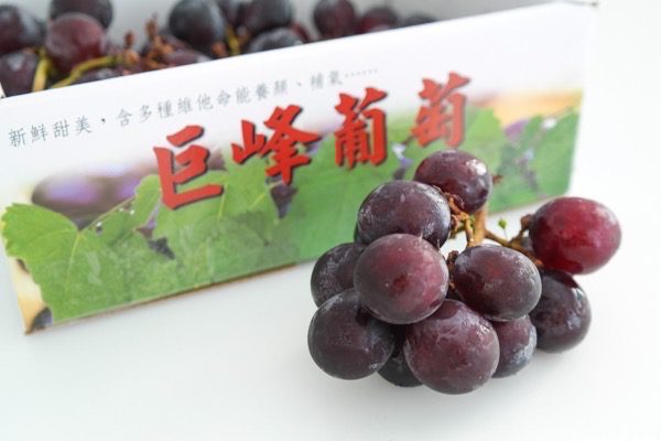 kyoho-grapes