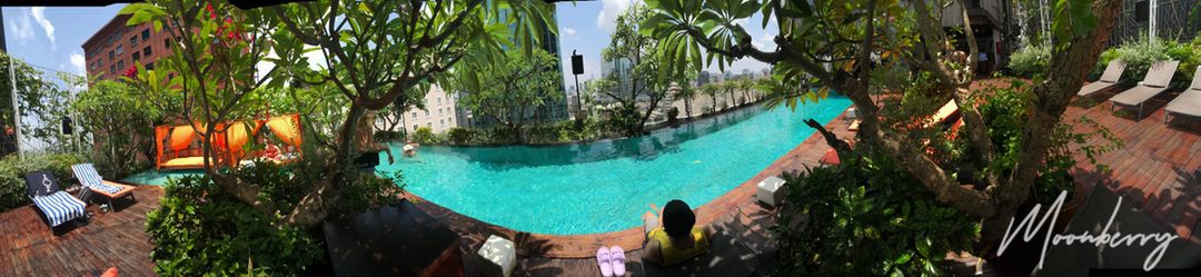 The Myst Dong Khoi rooftop pool panorama